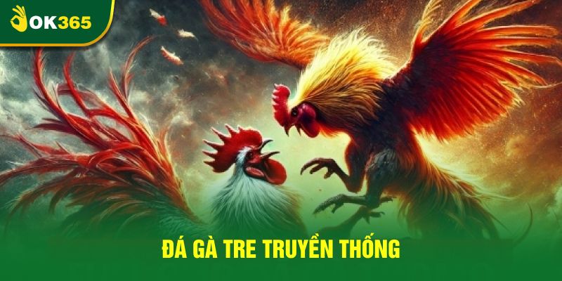 Đá gà tre truyền thống